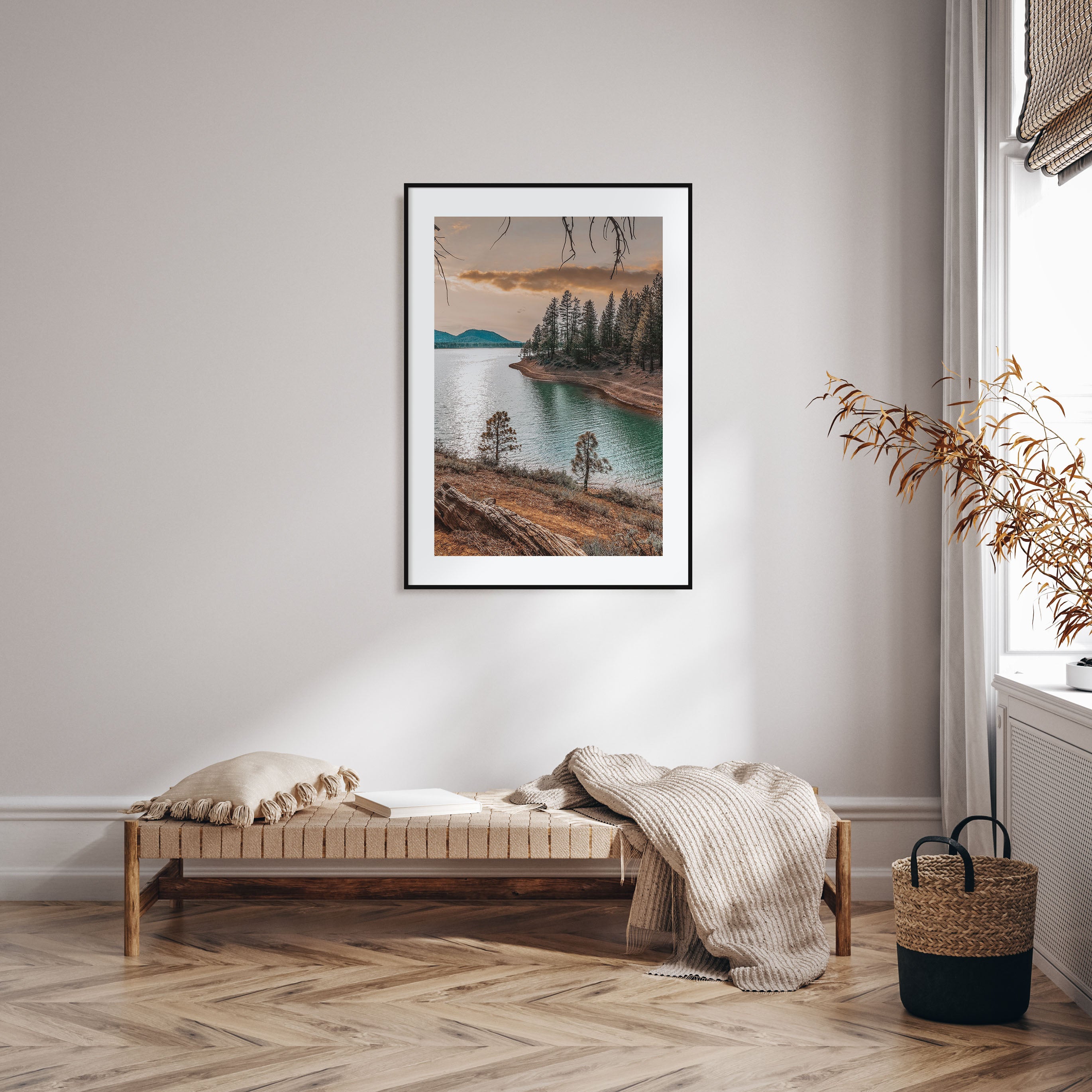 Davis Photo Color Poster