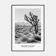 Death Valley Portrait B&W No 1 Poster