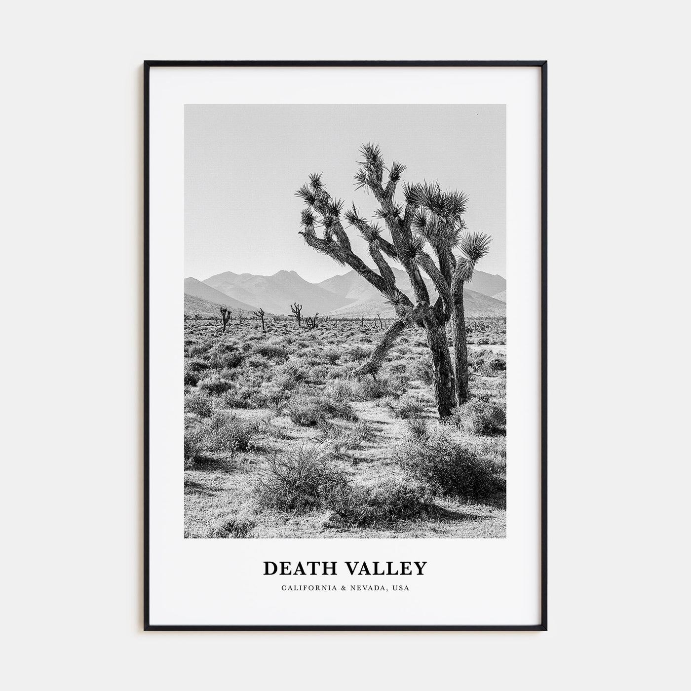Death Valley Portrait B&W No 1 Poster