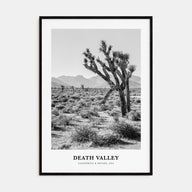 Death Valley Portrait B&W No 1 Poster