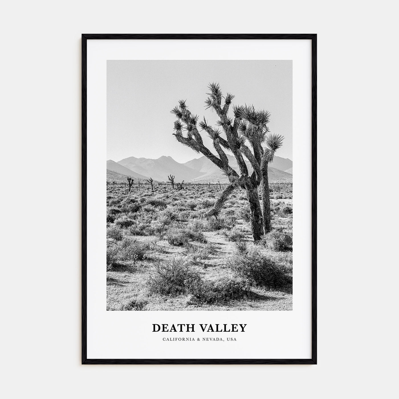 Death Valley Portrait B&W No 1 Poster