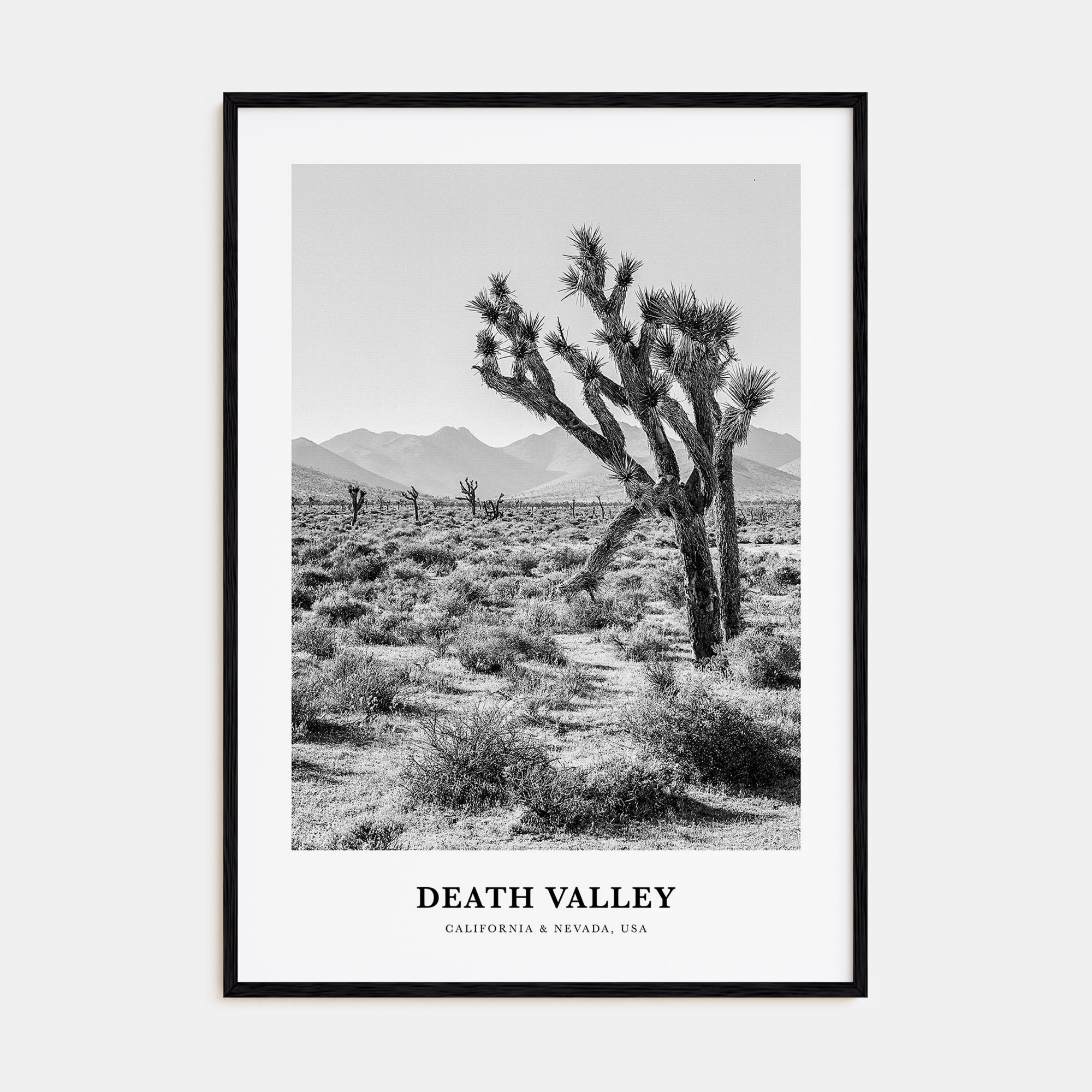 Death Valley Portrait B&W No 1 Poster