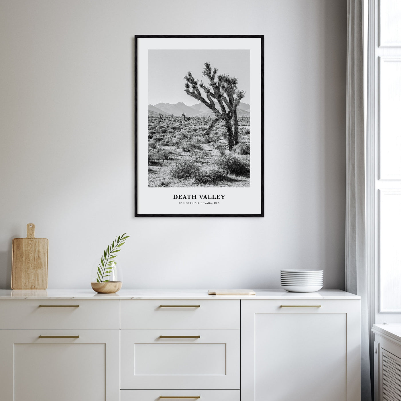 Death Valley Portrait B&W No 1 Poster
