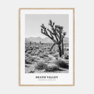 Death Valley Portrait B&W No 1 Poster
