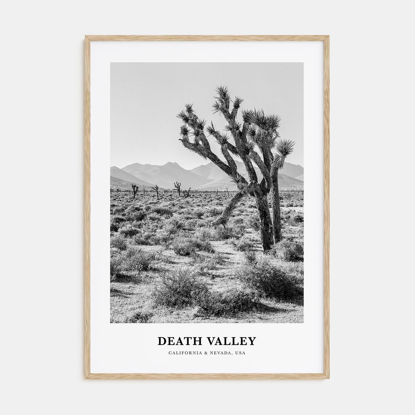Death Valley Portrait B&W No 1 Poster