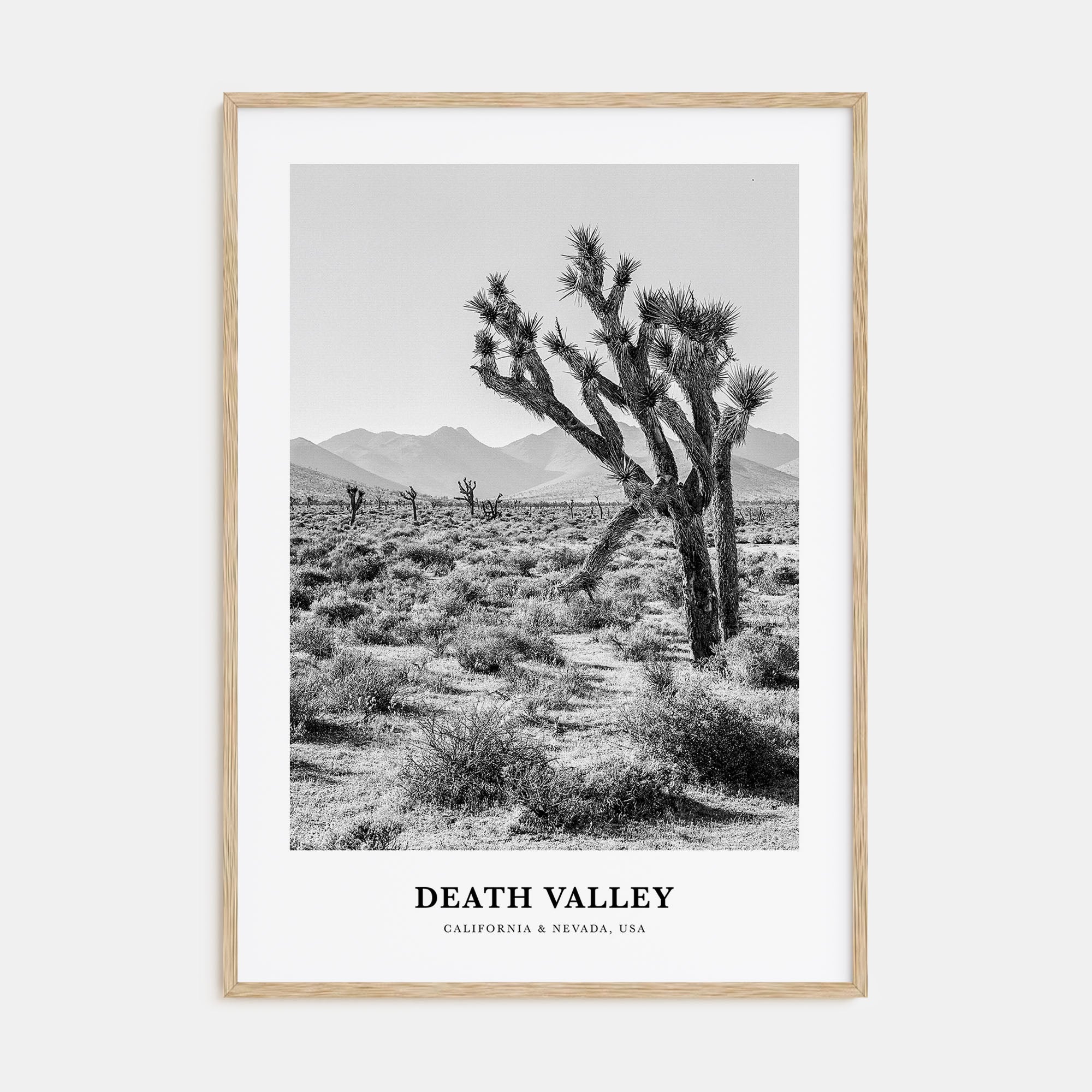 Death Valley Portrait B&W No 1 Poster