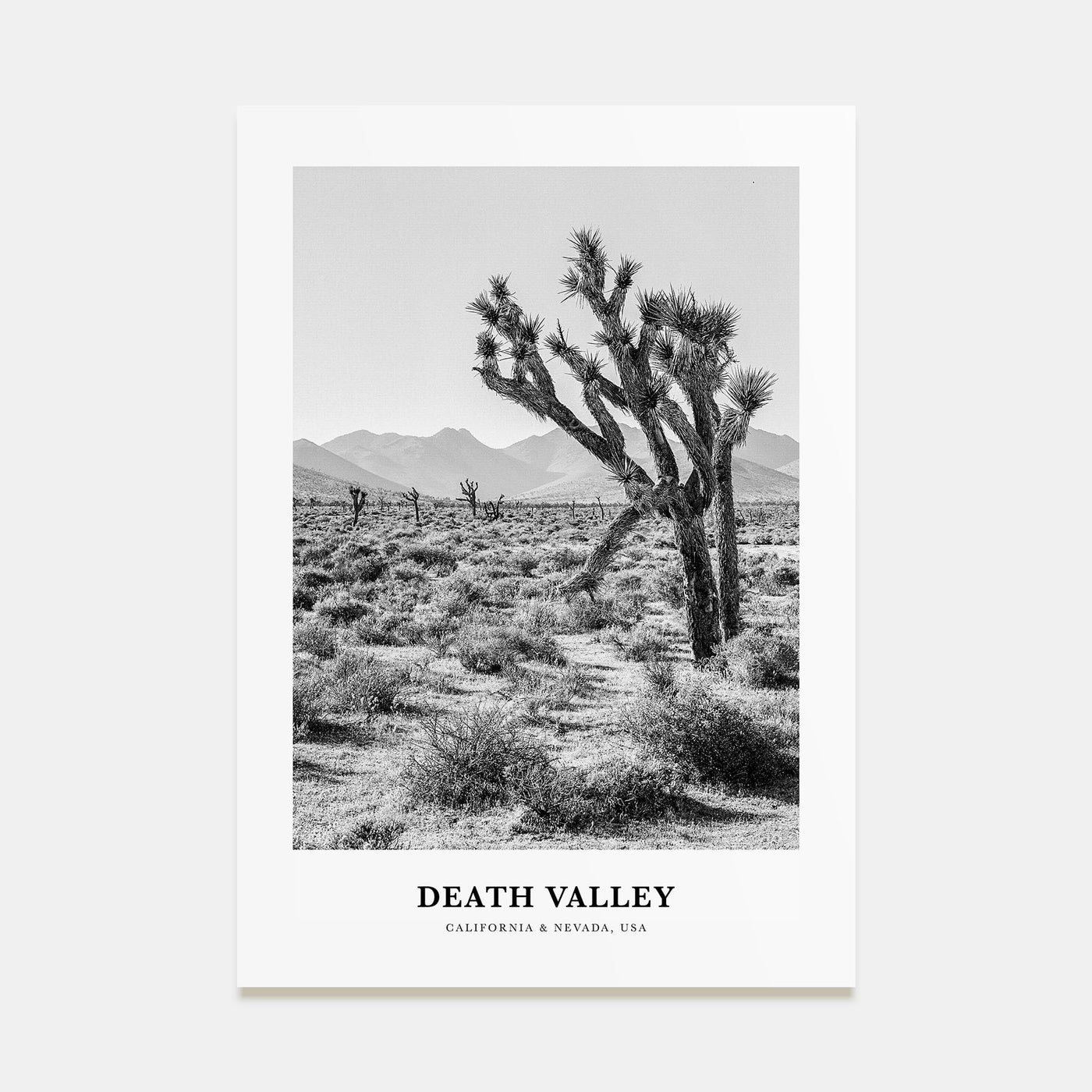 Death Valley Portrait B&W No 1 Poster