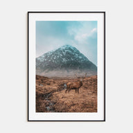 Deer Photo Color No 1 Poster