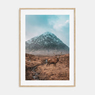 Deer Photo Color No 1 Poster