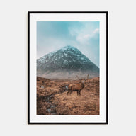 Deer Photo Color No 1 Poster