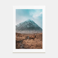 Deer Photo Color No 1 Poster