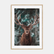 Deer Photo Color No 2 Poster