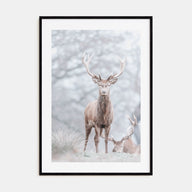 Deer Photo Color No 3 Poster