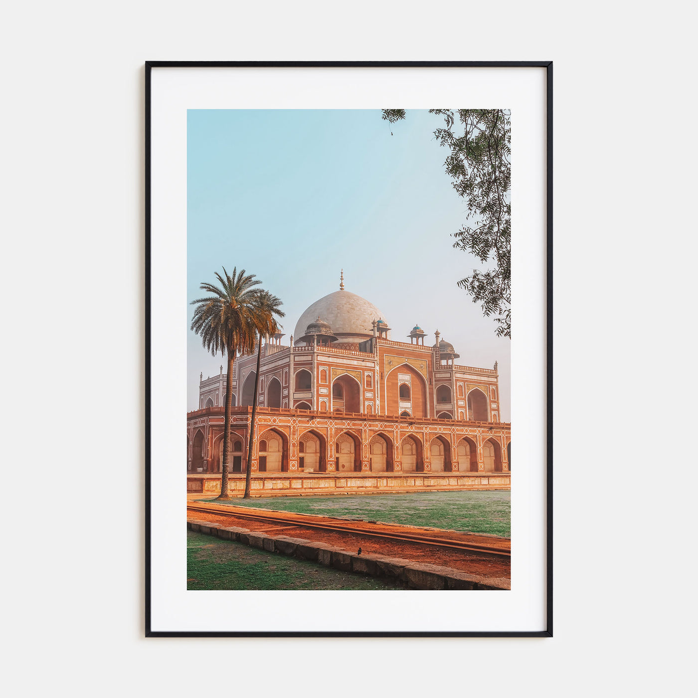 Delhi Photo Color Poster