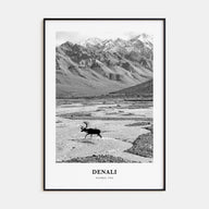 Denali Portrait B&W Poster