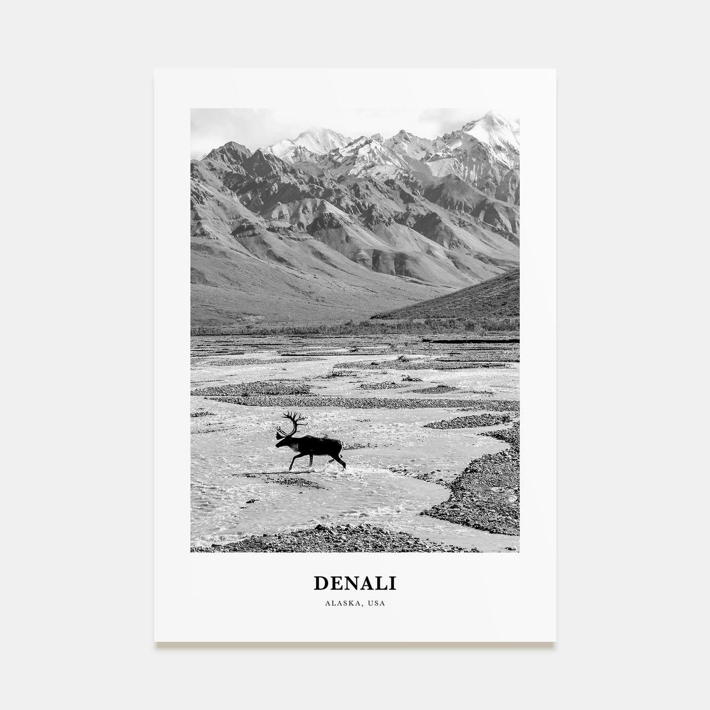 Denali Portrait B&W Poster