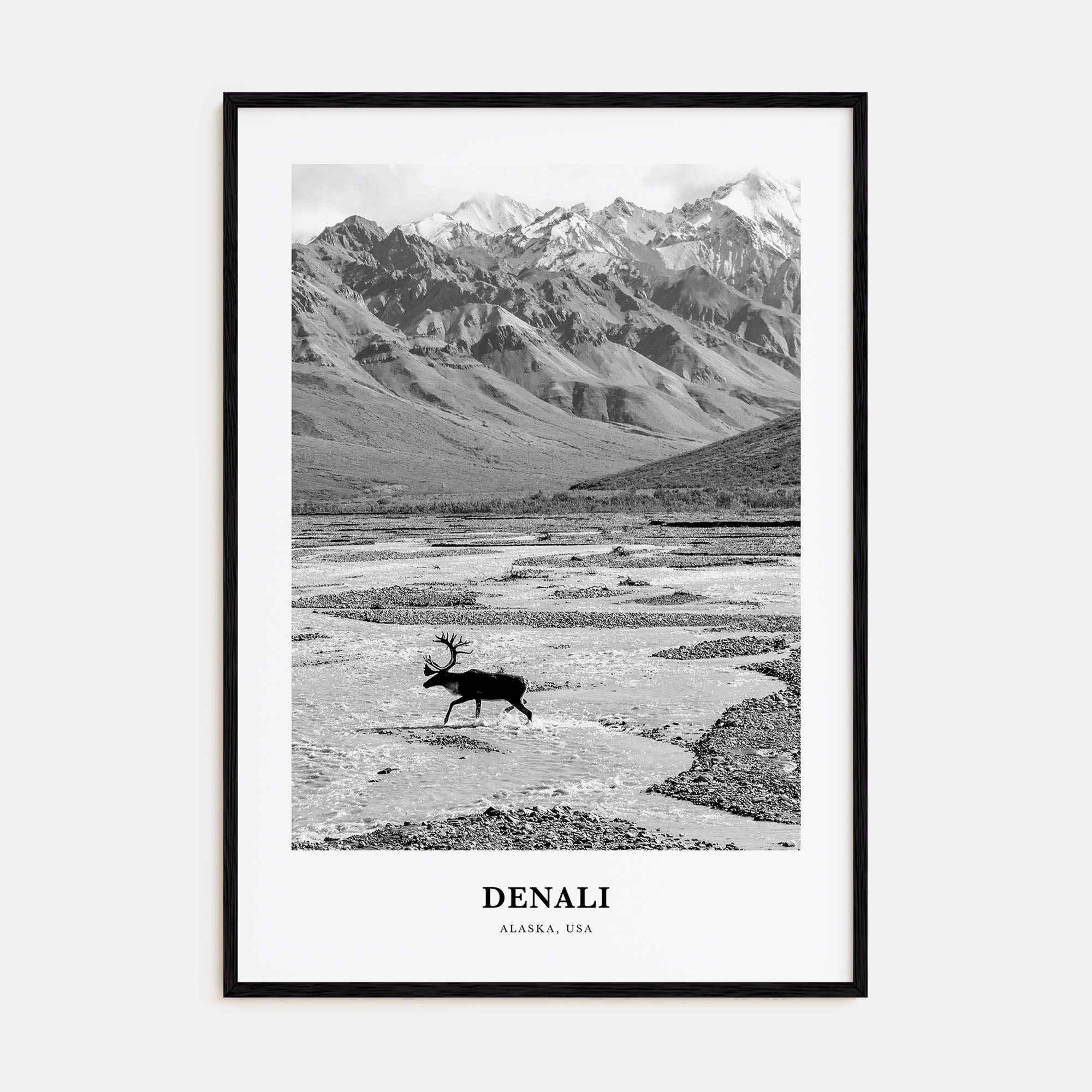 Denali Portrait B&W Poster