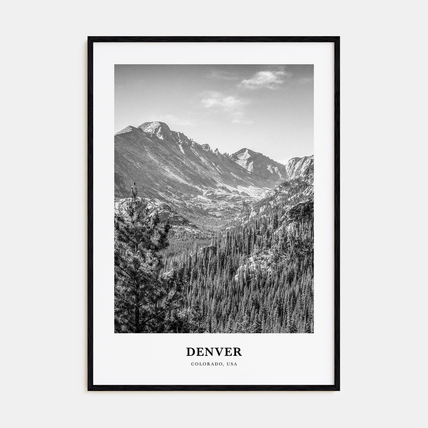 Denver Portrait B&W No 2 Poster