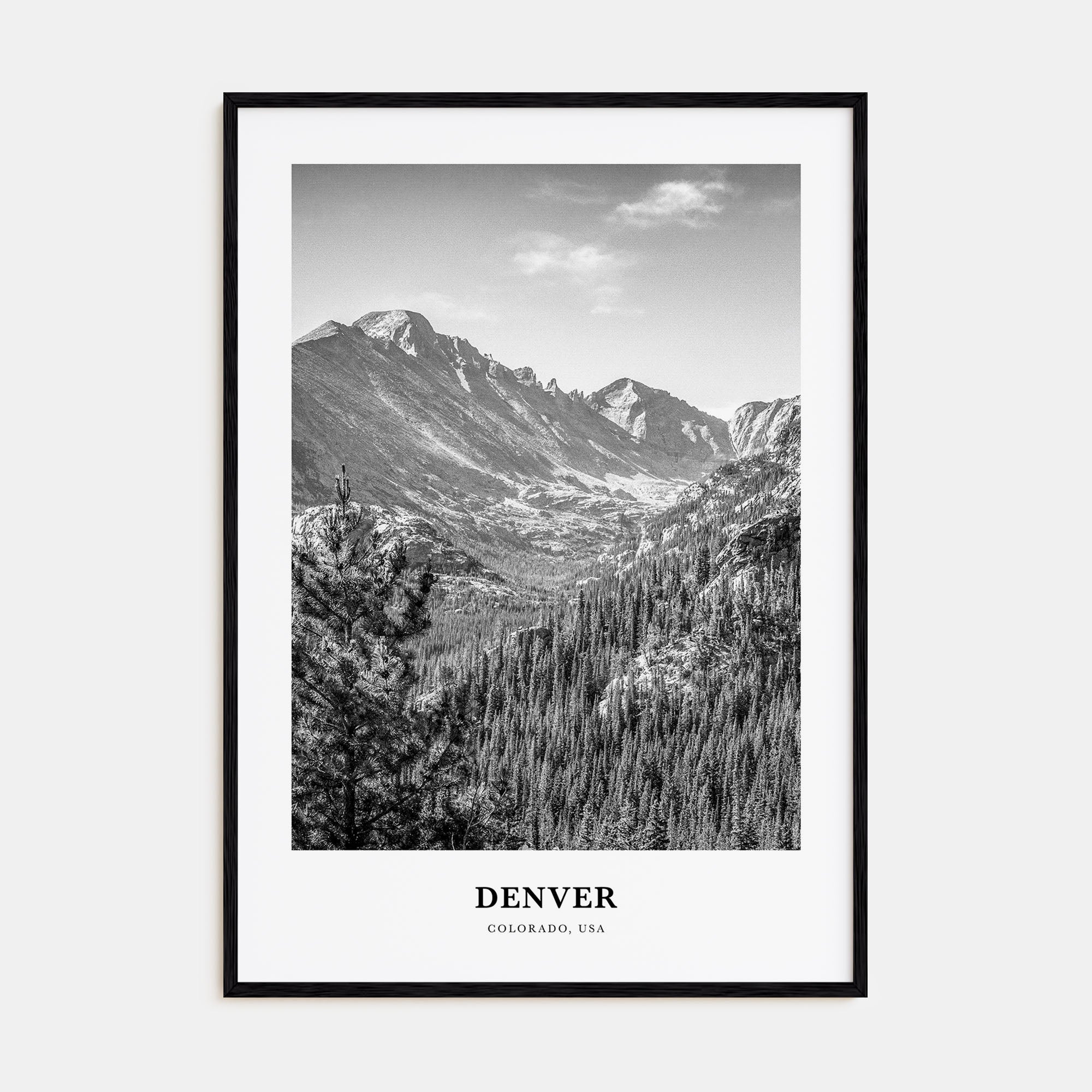 Denver Portrait B&W No 2 Poster