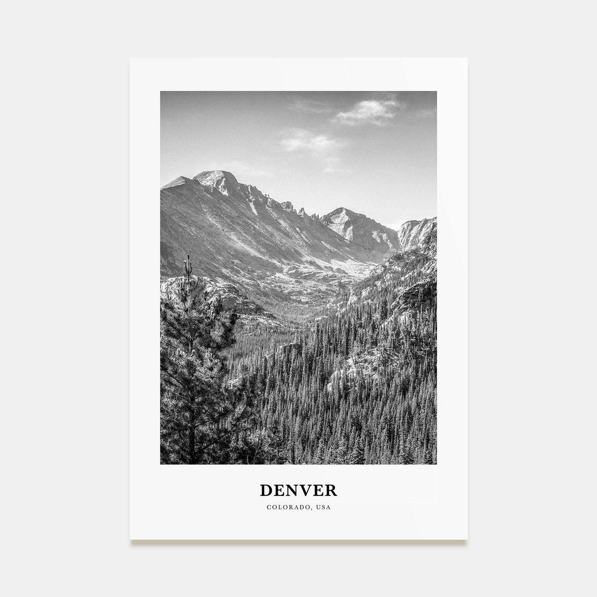 Denver Portrait B&W No 2 Poster