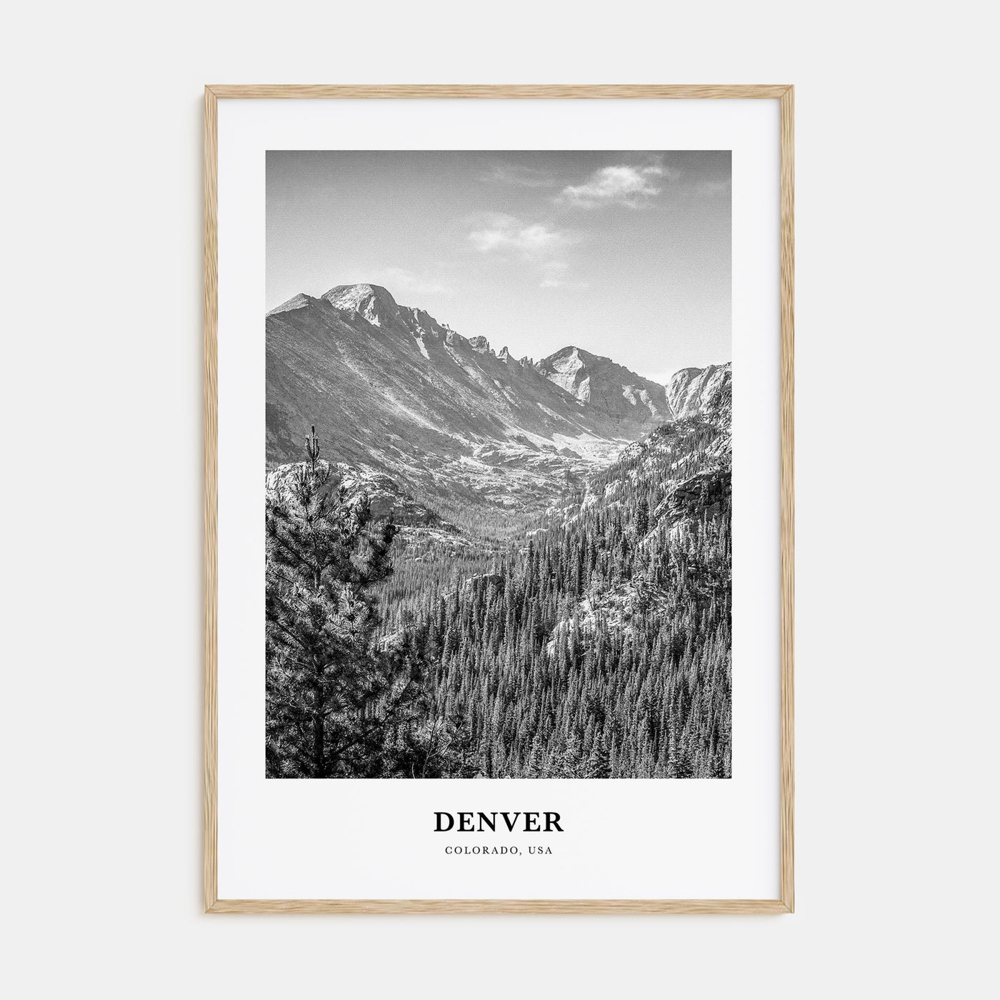 Denver Portrait B&W No 2 Poster