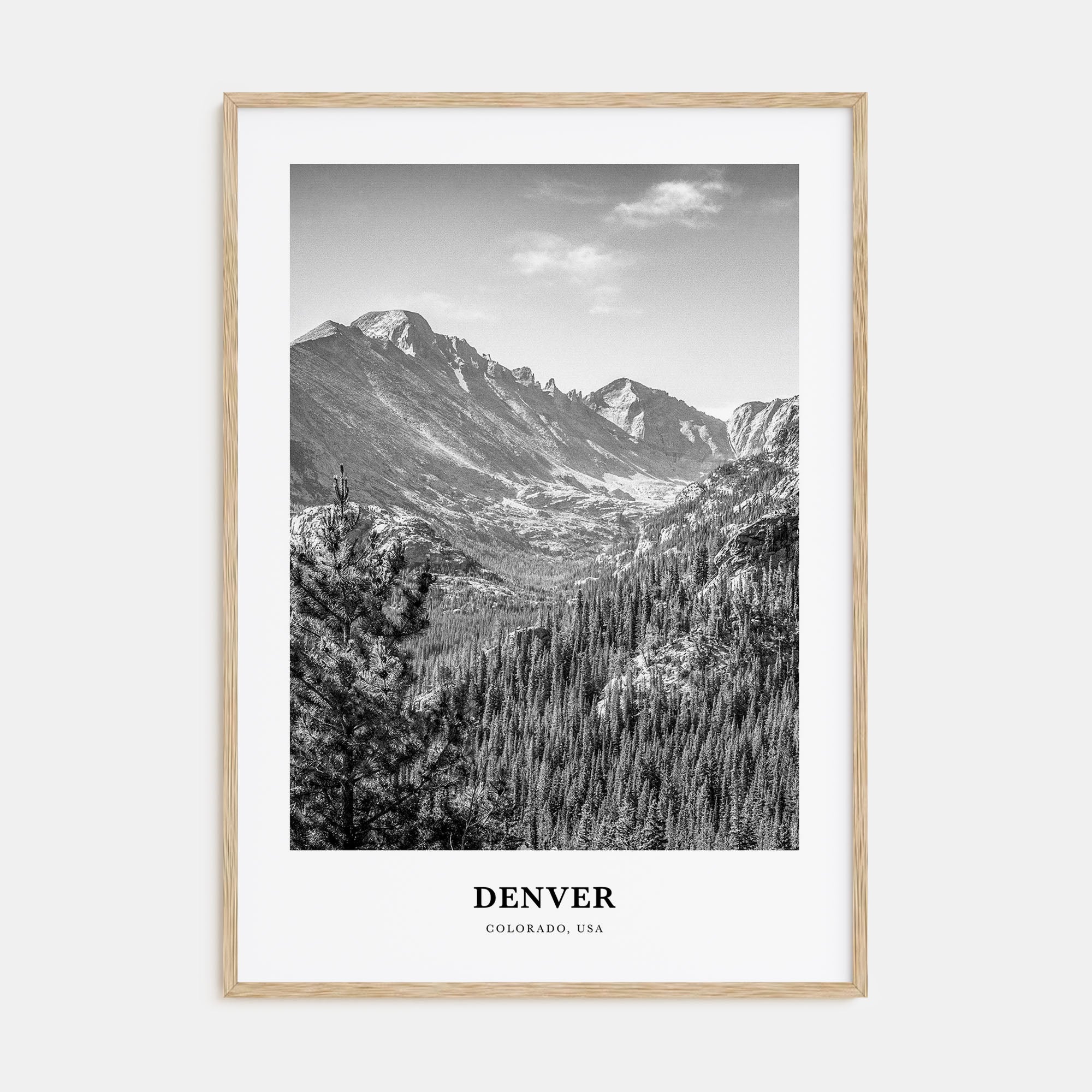 Denver Portrait B&W No 2 Poster