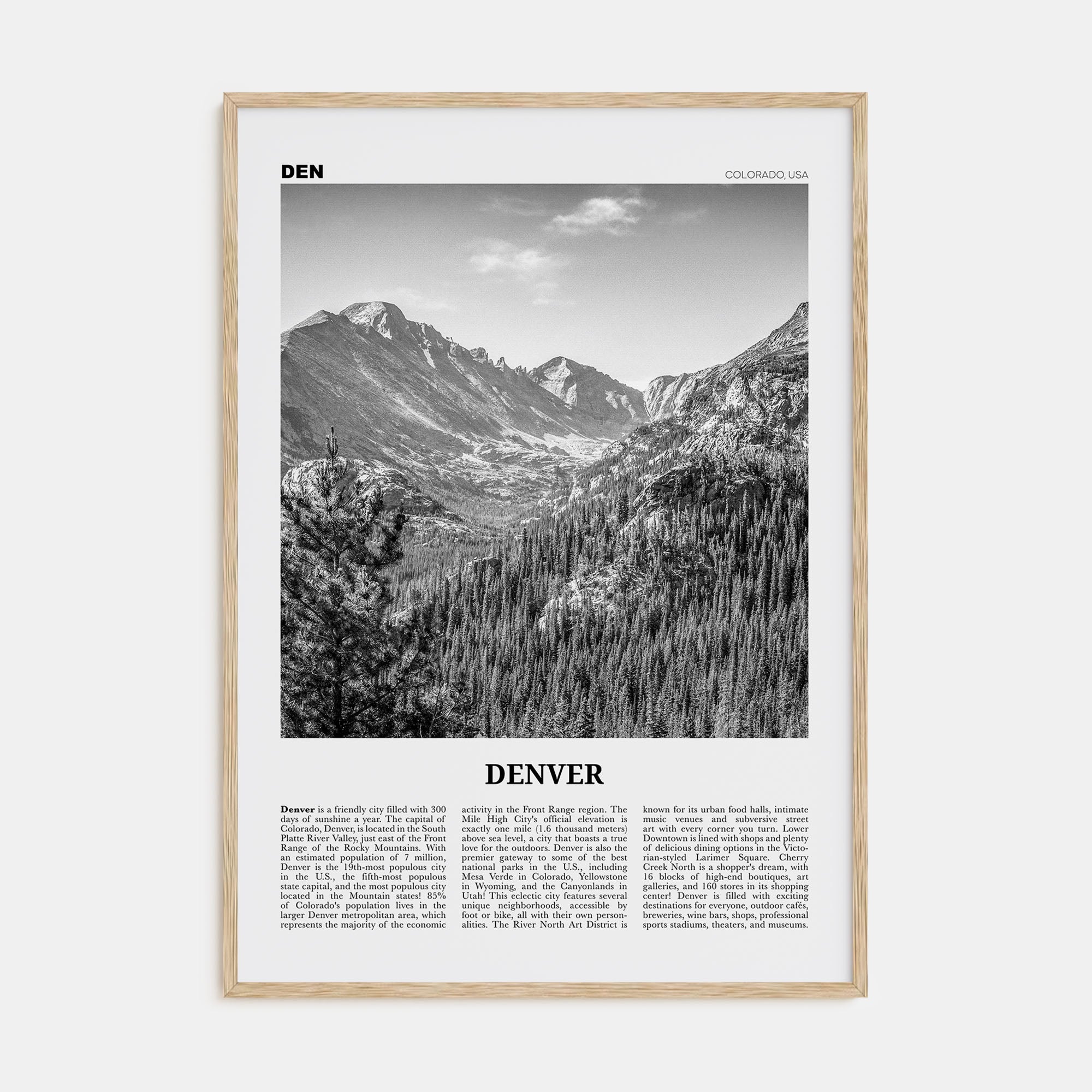Denver Travel B&W No 1 Poster