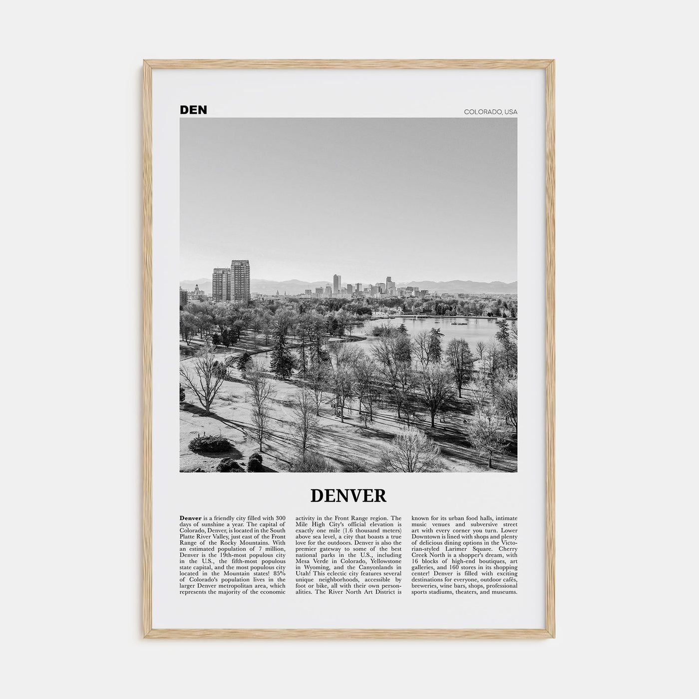 Denver Travel B&W No 5 Poster