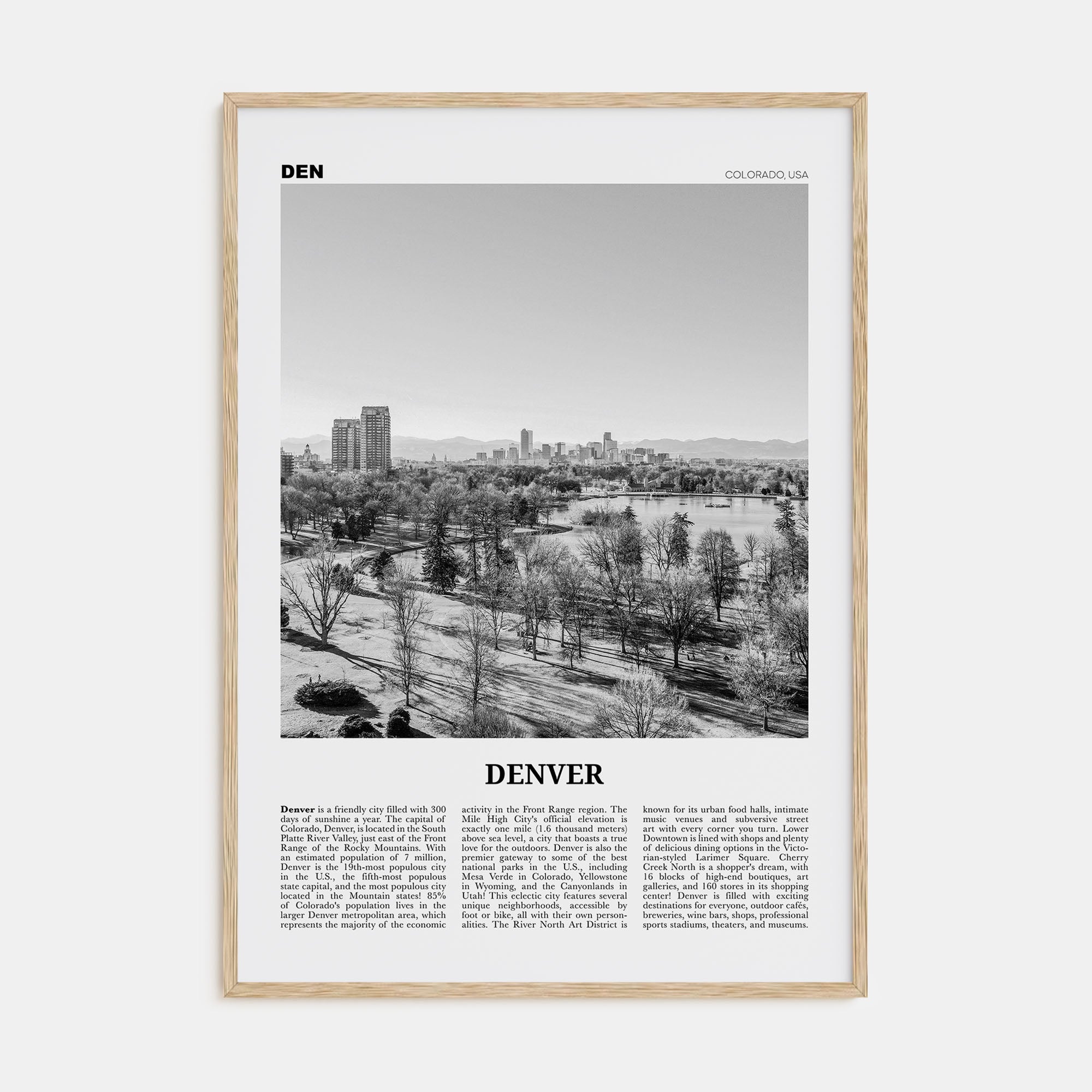 Denver Travel B&W No 5 Poster