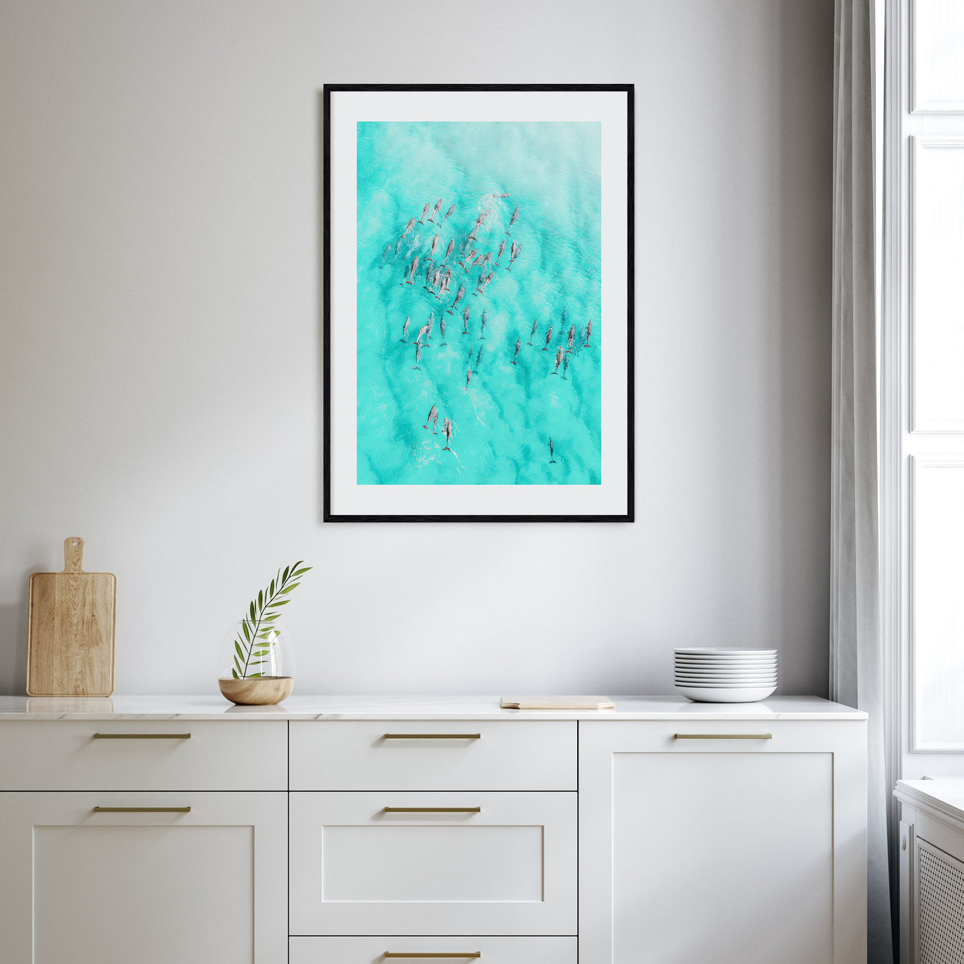 Dolphin Swimming Photo Color Poster