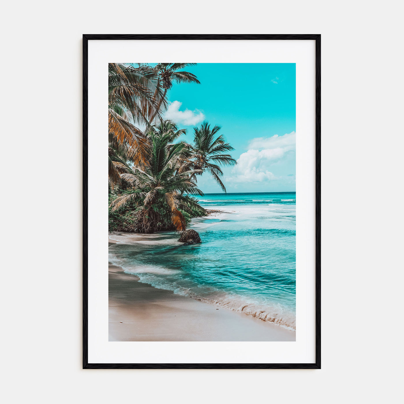 Dominican Republic Photo Color No 1 Poster