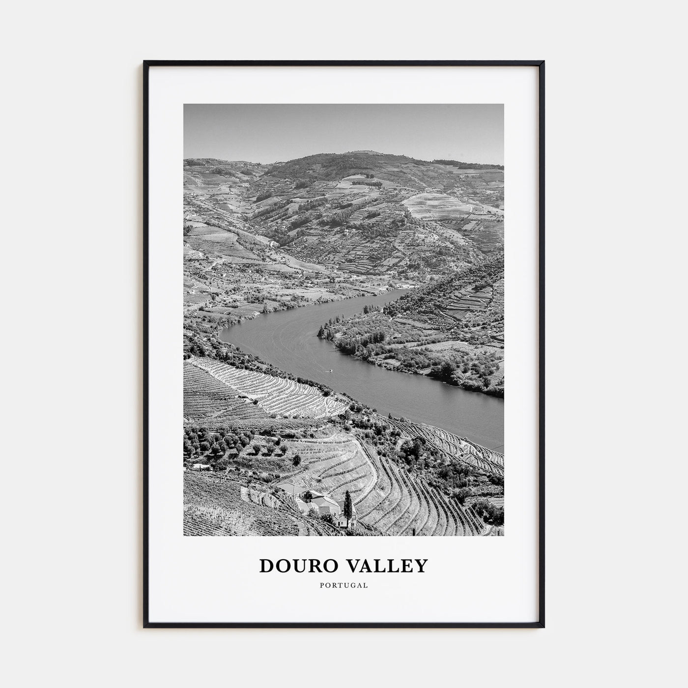 Douro Valley Portrait B&W Poster