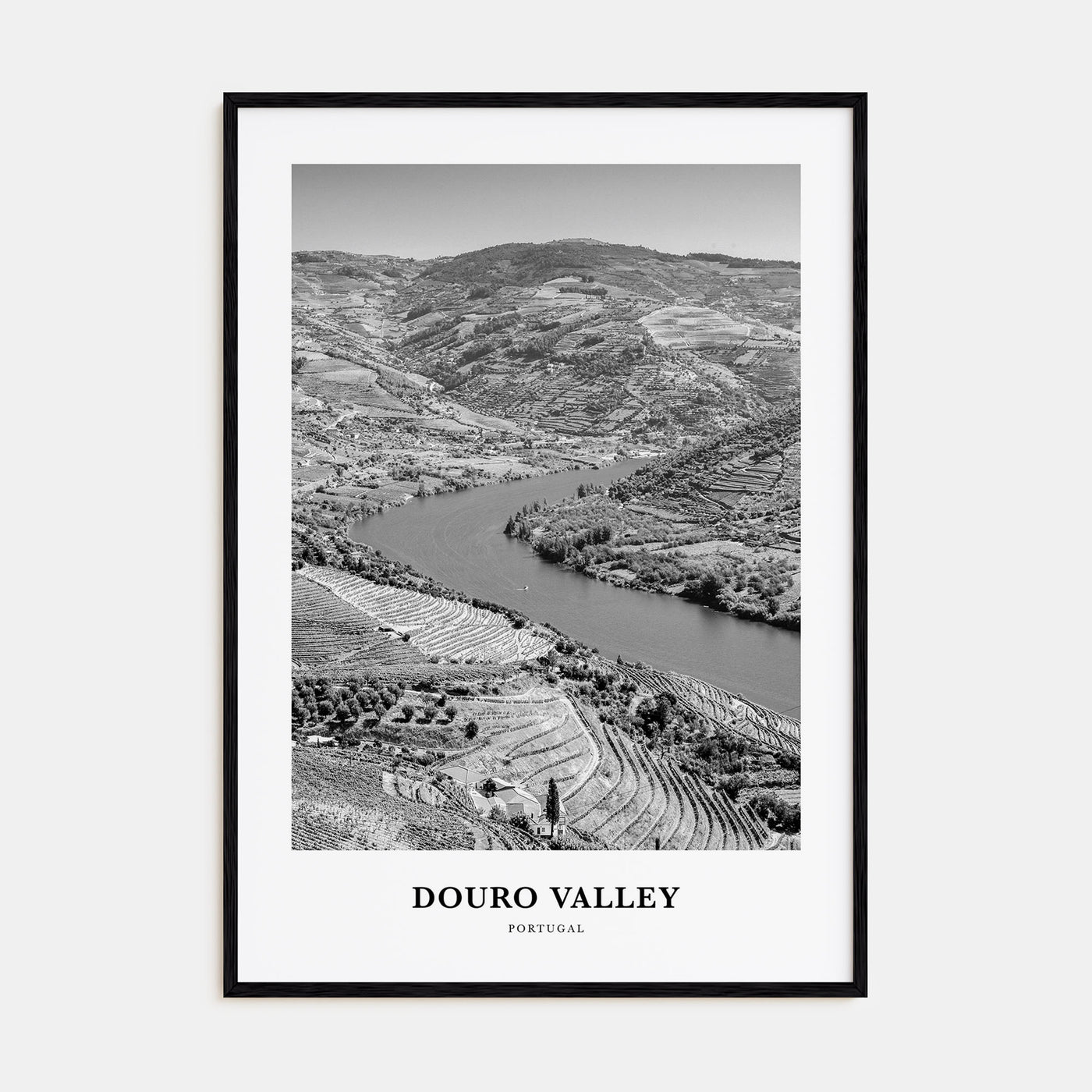 Douro Valley Portrait B&W Poster