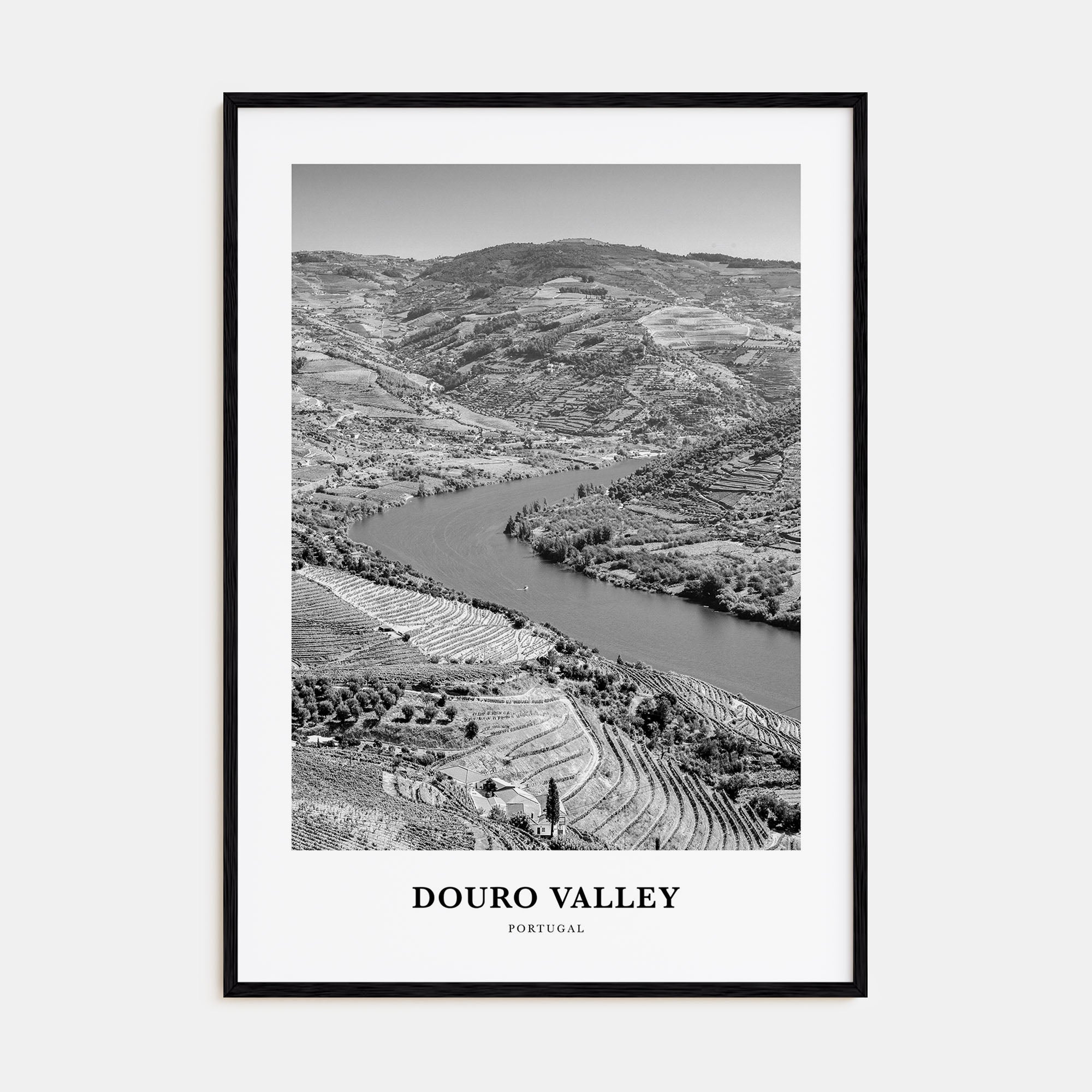 Douro Valley Portrait B&W Poster