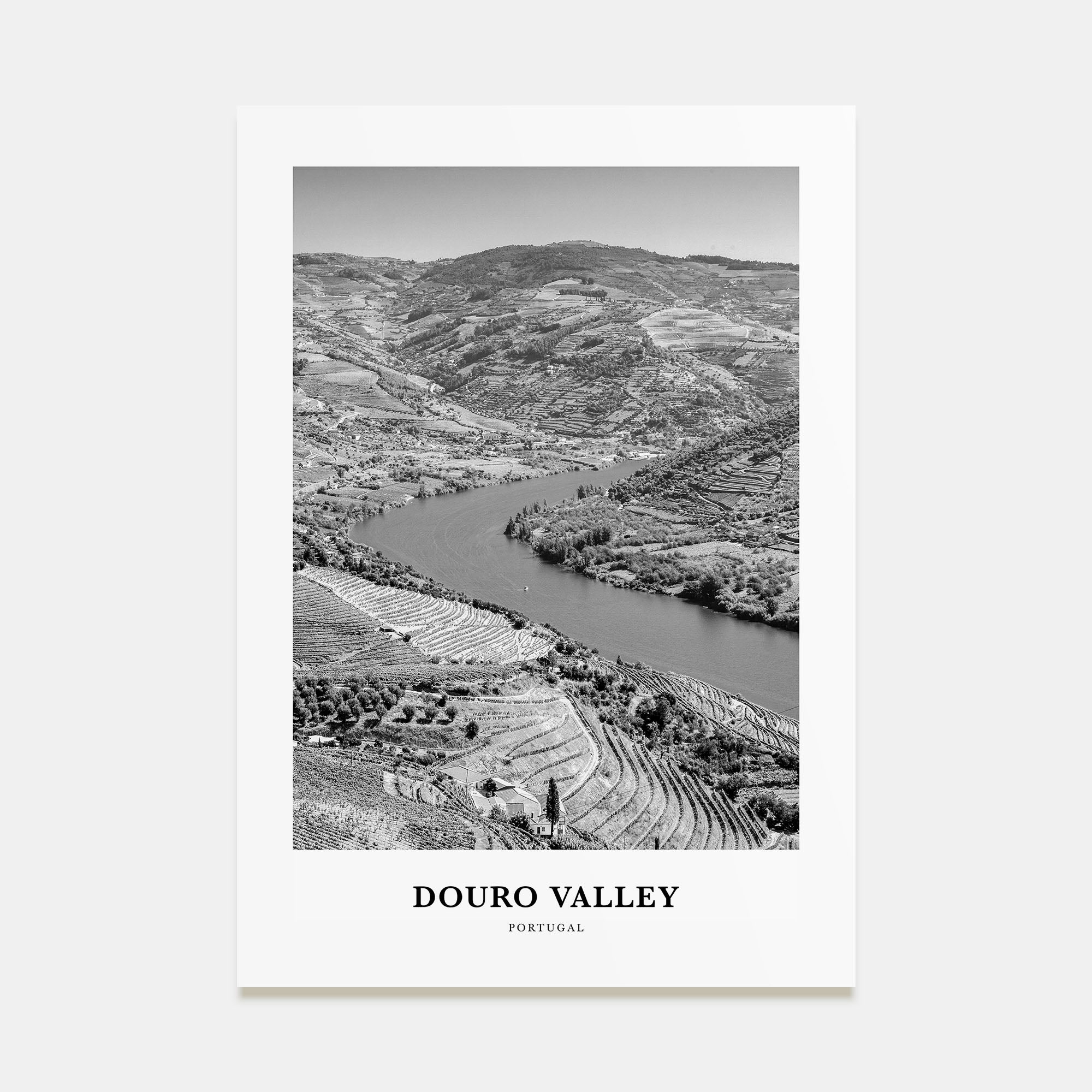 Douro Valley Portrait B&W Poster
