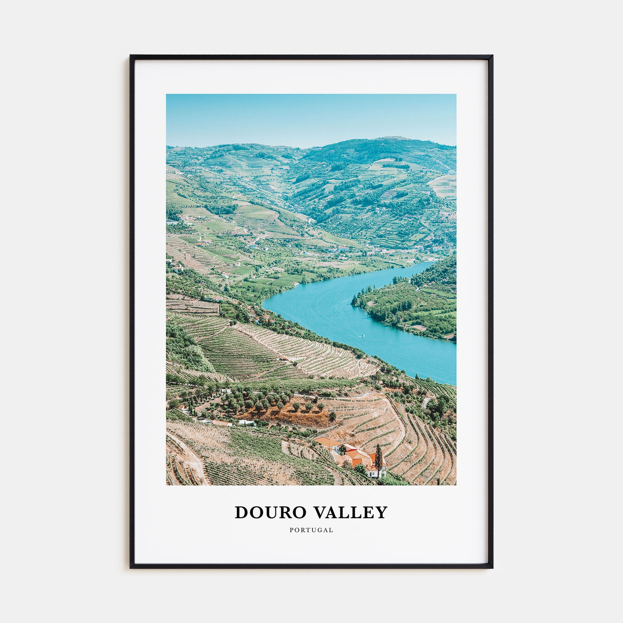 Douro Valley Portrait Color Poster