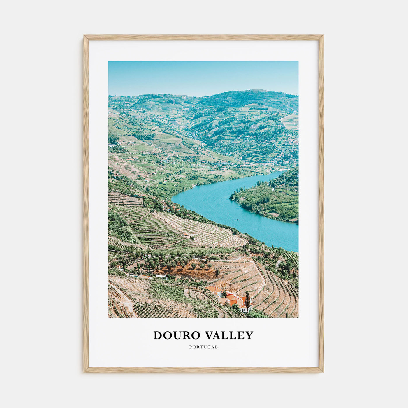 Douro Valley Portrait Color Poster