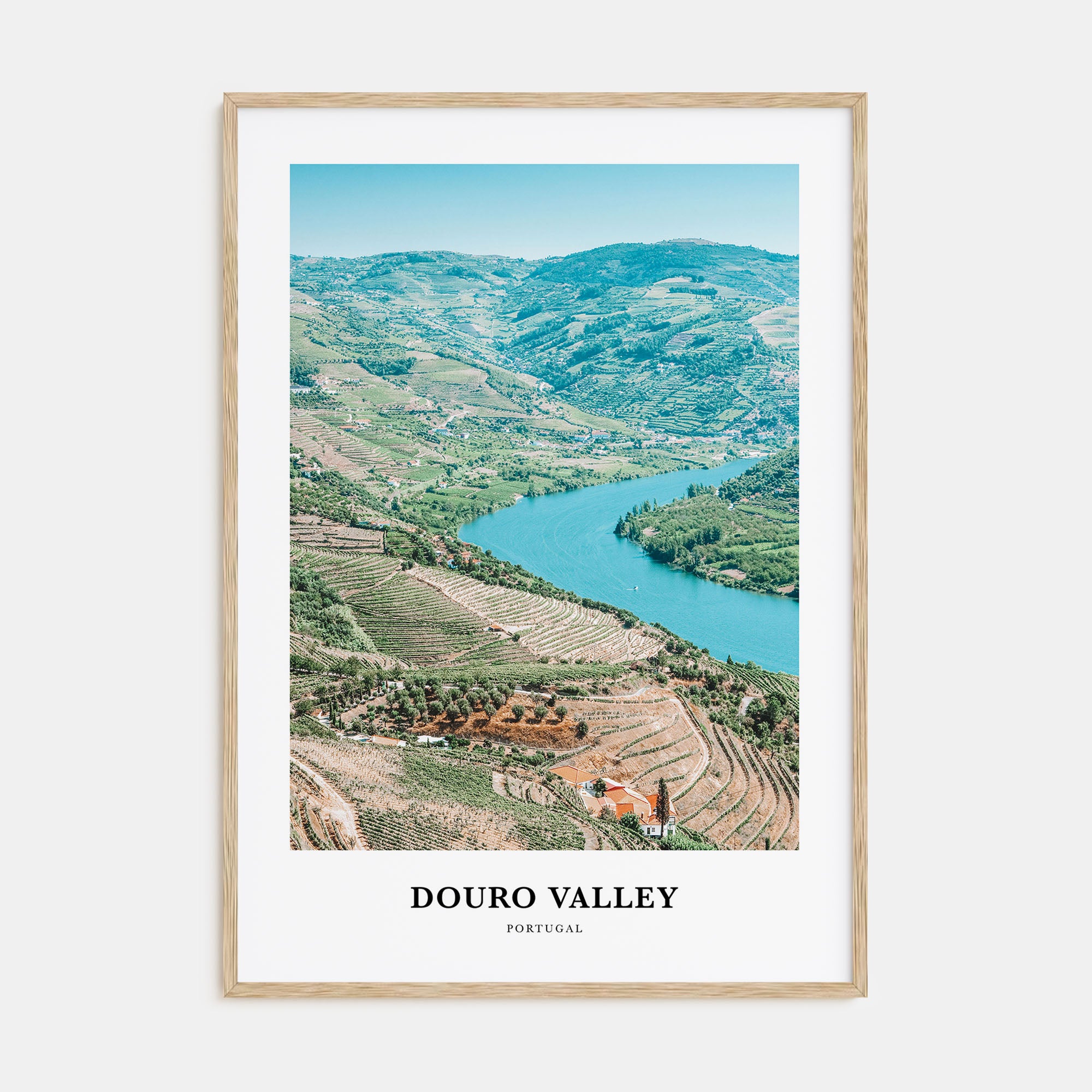 Douro Valley Portrait Color Poster
