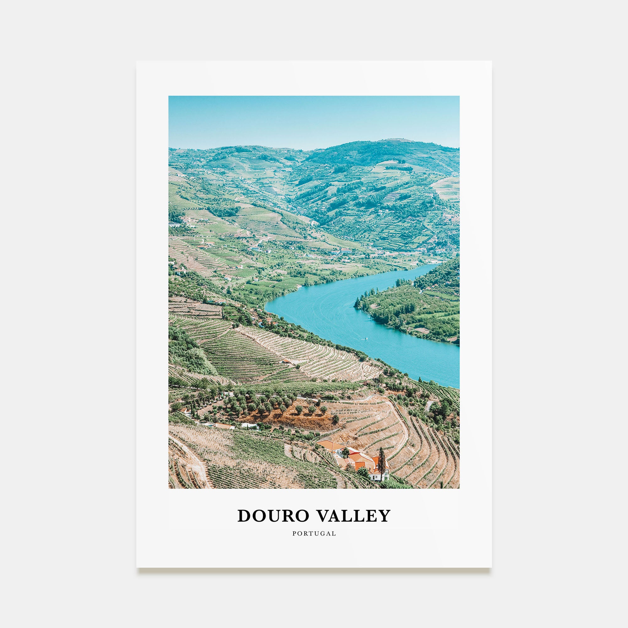Douro Valley Portrait Color Poster