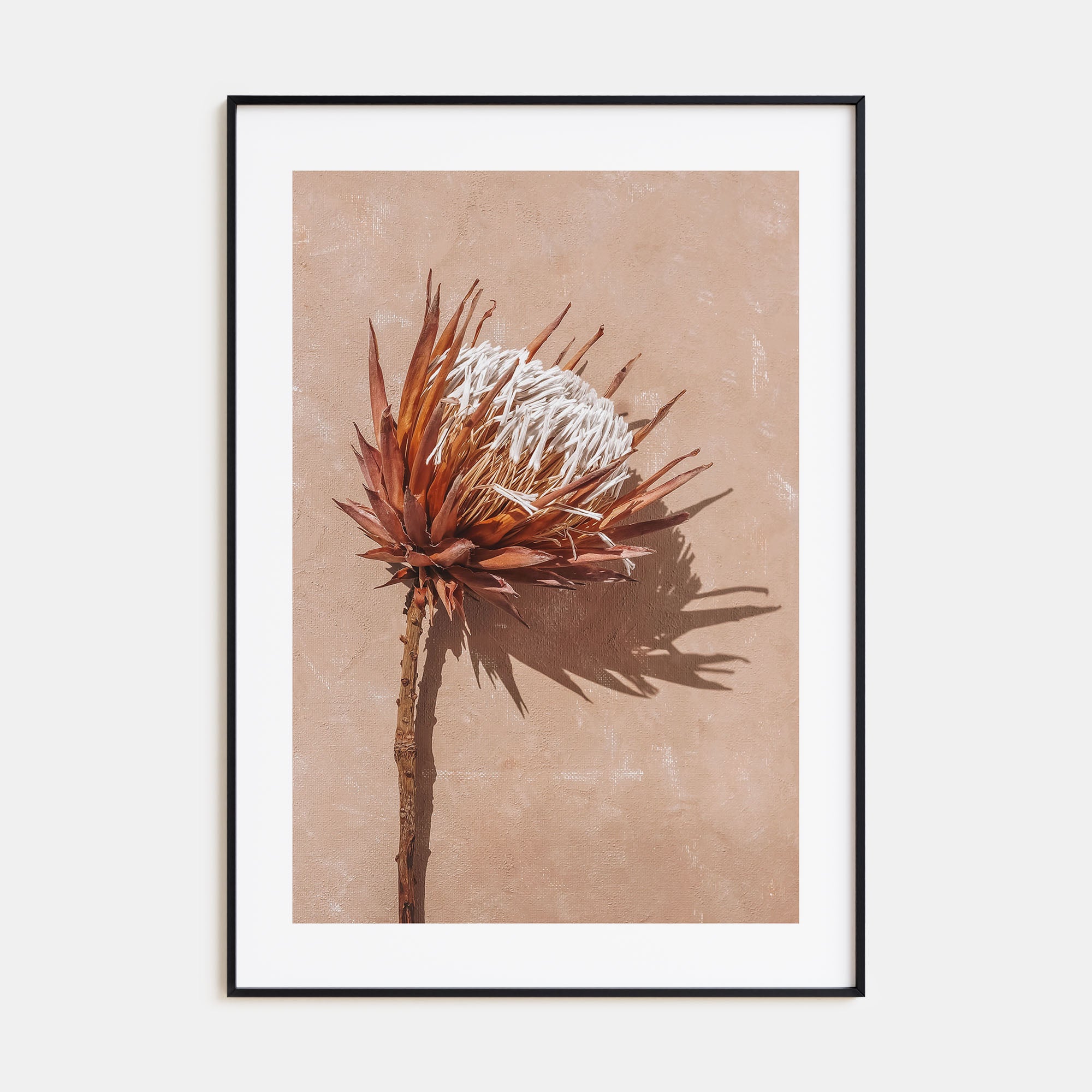 Dried Exotic Flower Photo Color Poster