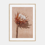 Dried Exotic Flower Photo Color Poster