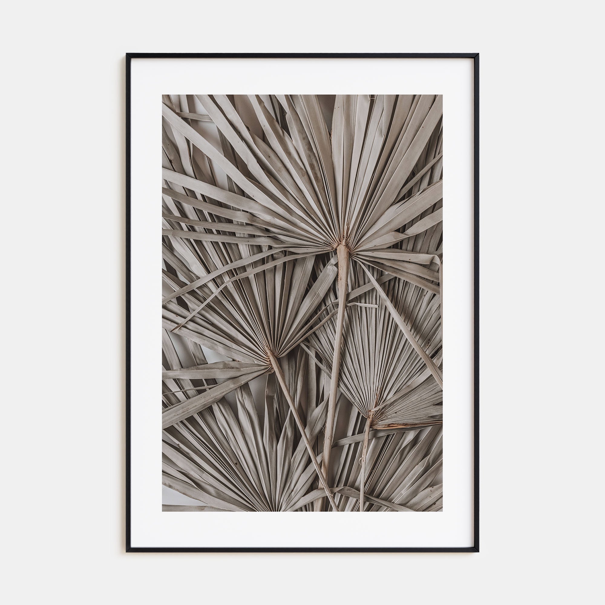 Dry Tropical Palm Leaf Photo Color No 1 Poster