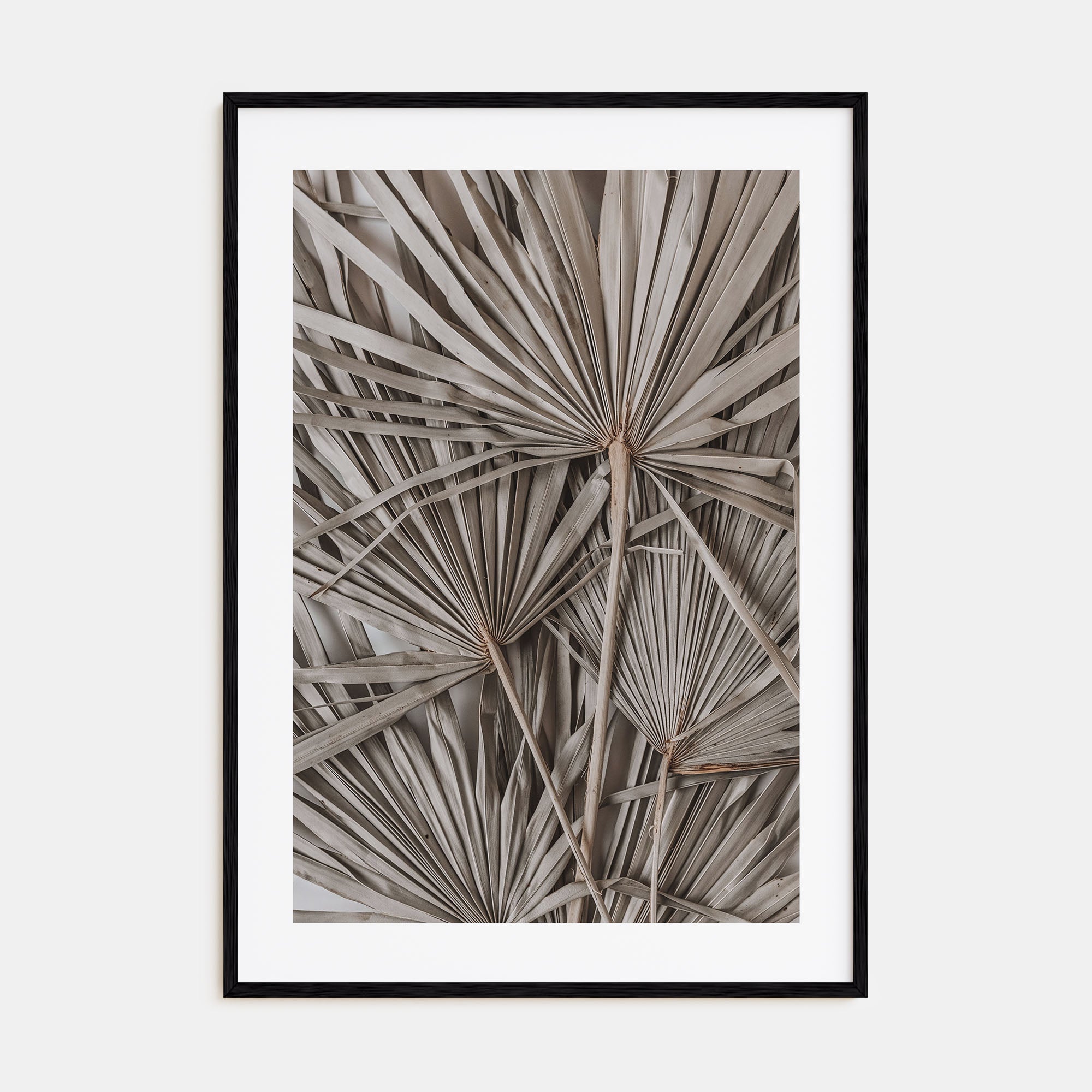 Dry Tropical Palm Leaf Photo Color No 1 Poster