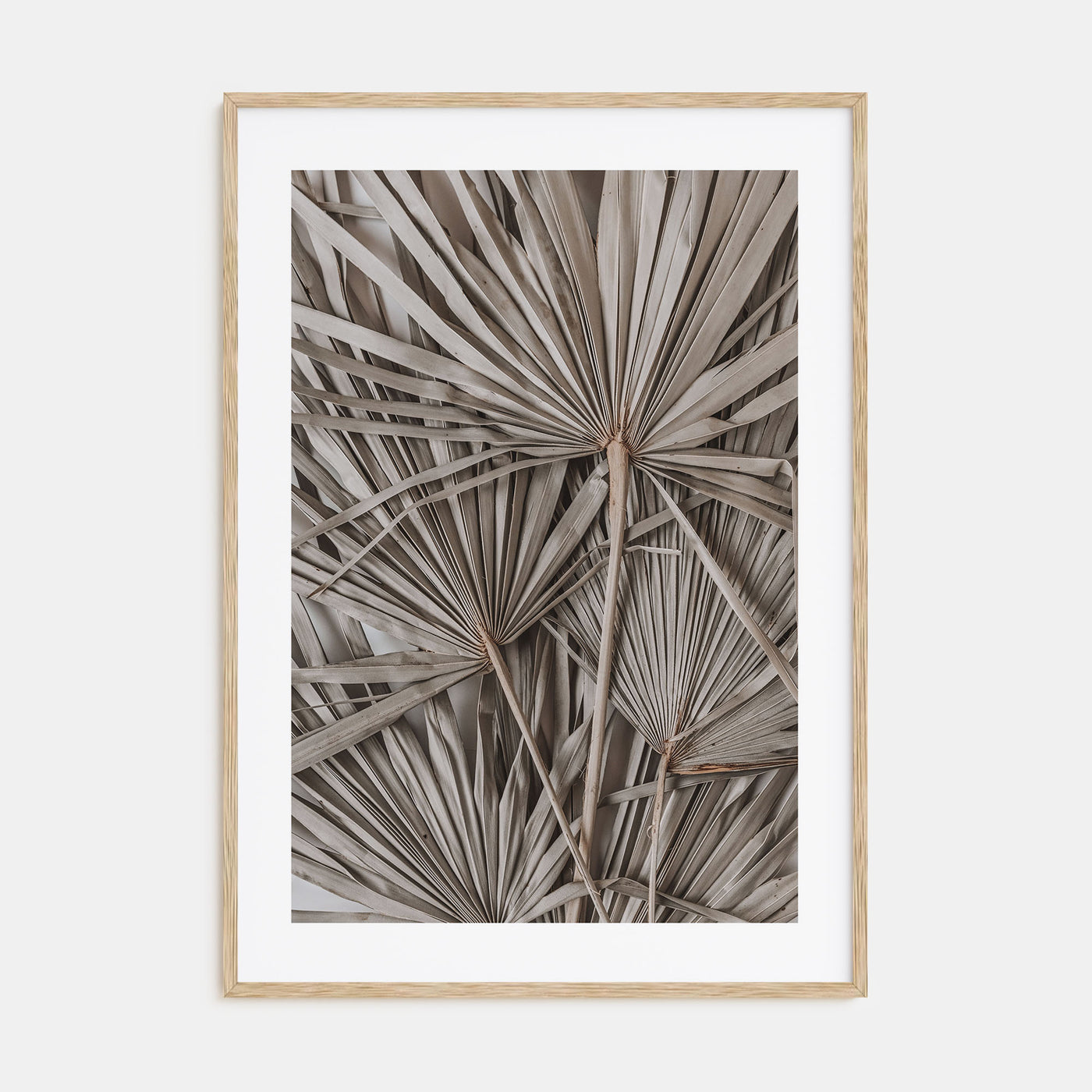Dry Tropical Palm Leaf Photo Color No 1 Poster