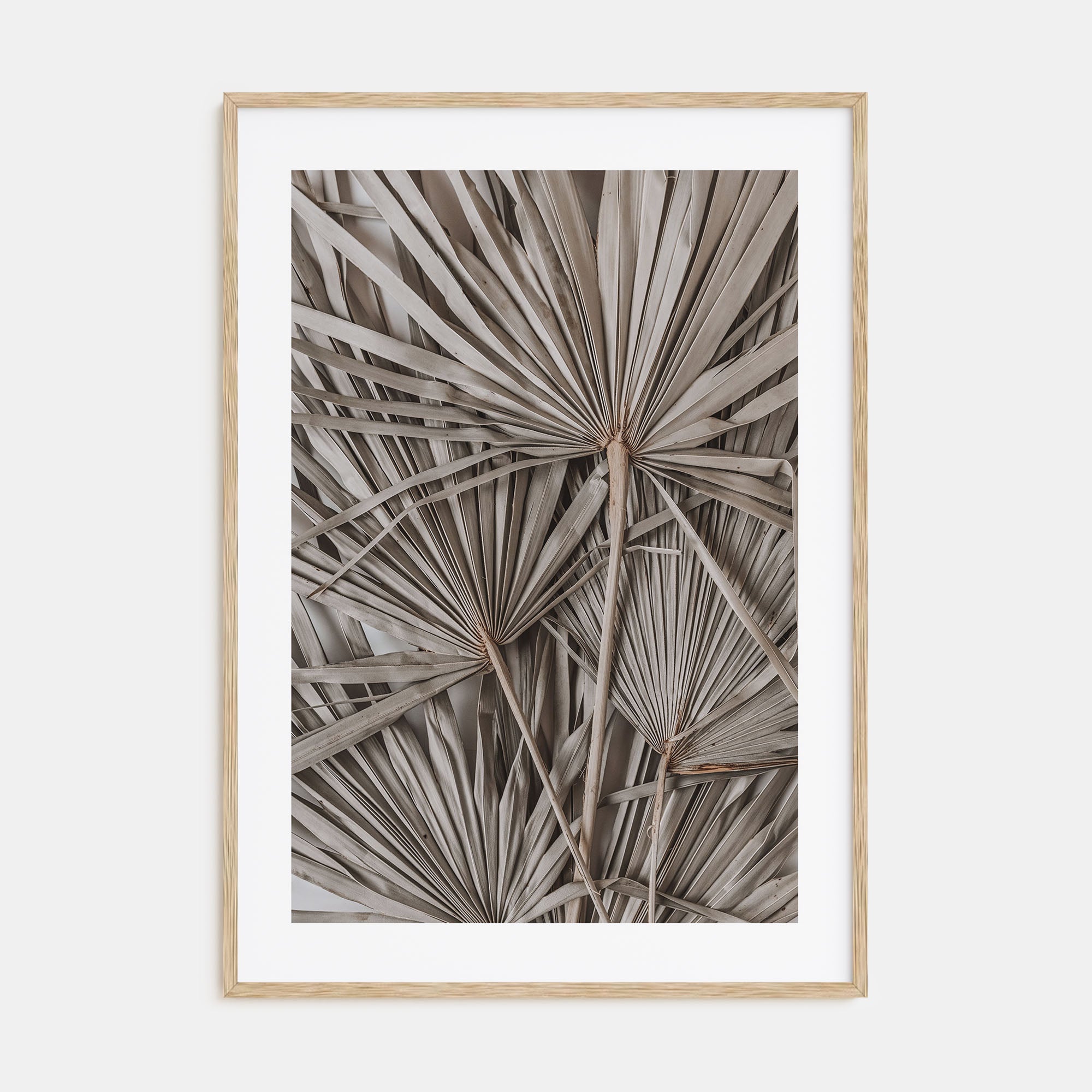 Dry Tropical Palm Leaf Photo Color No 1 Poster