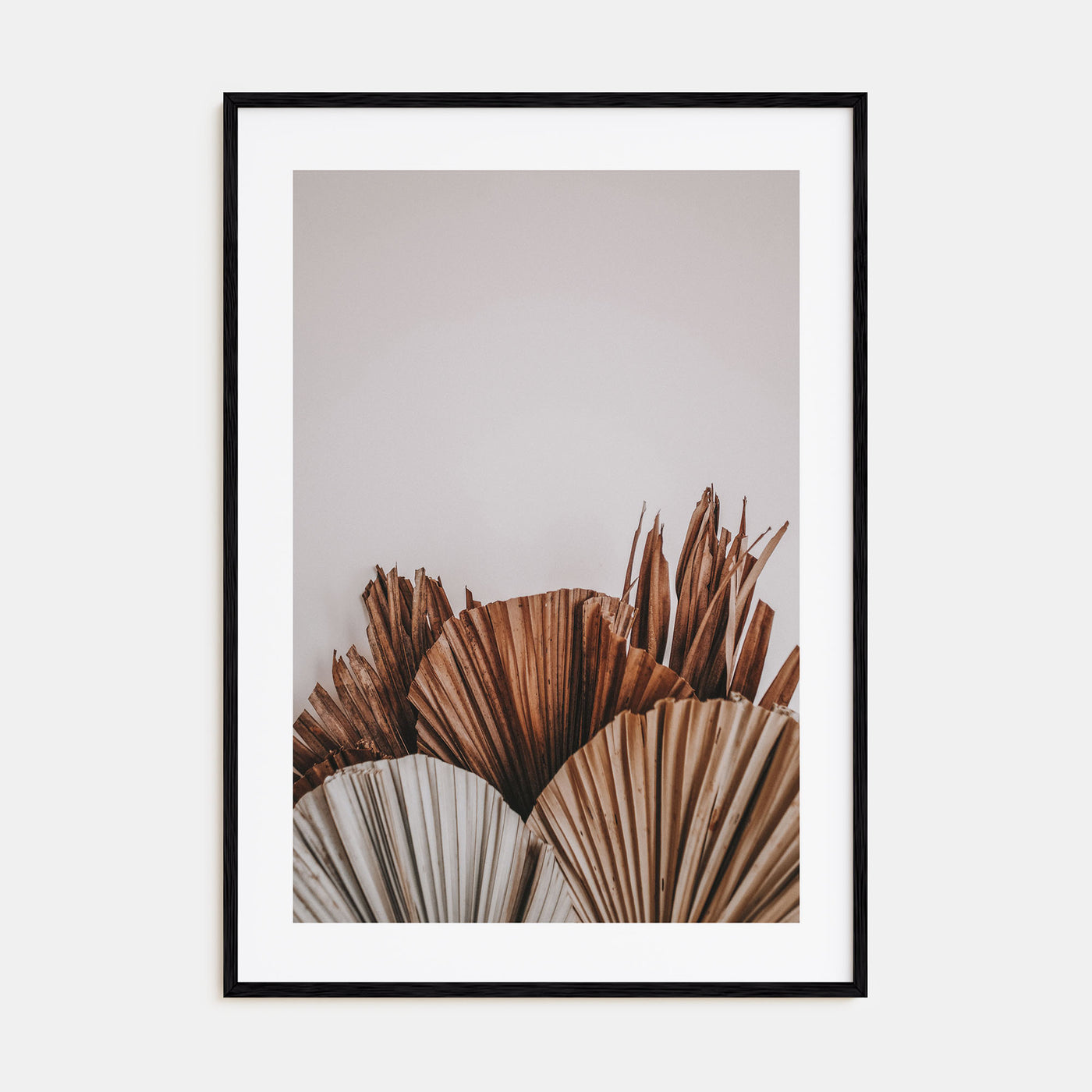 Dry Tropical Palm Leaf Photo Color No 2 Poster