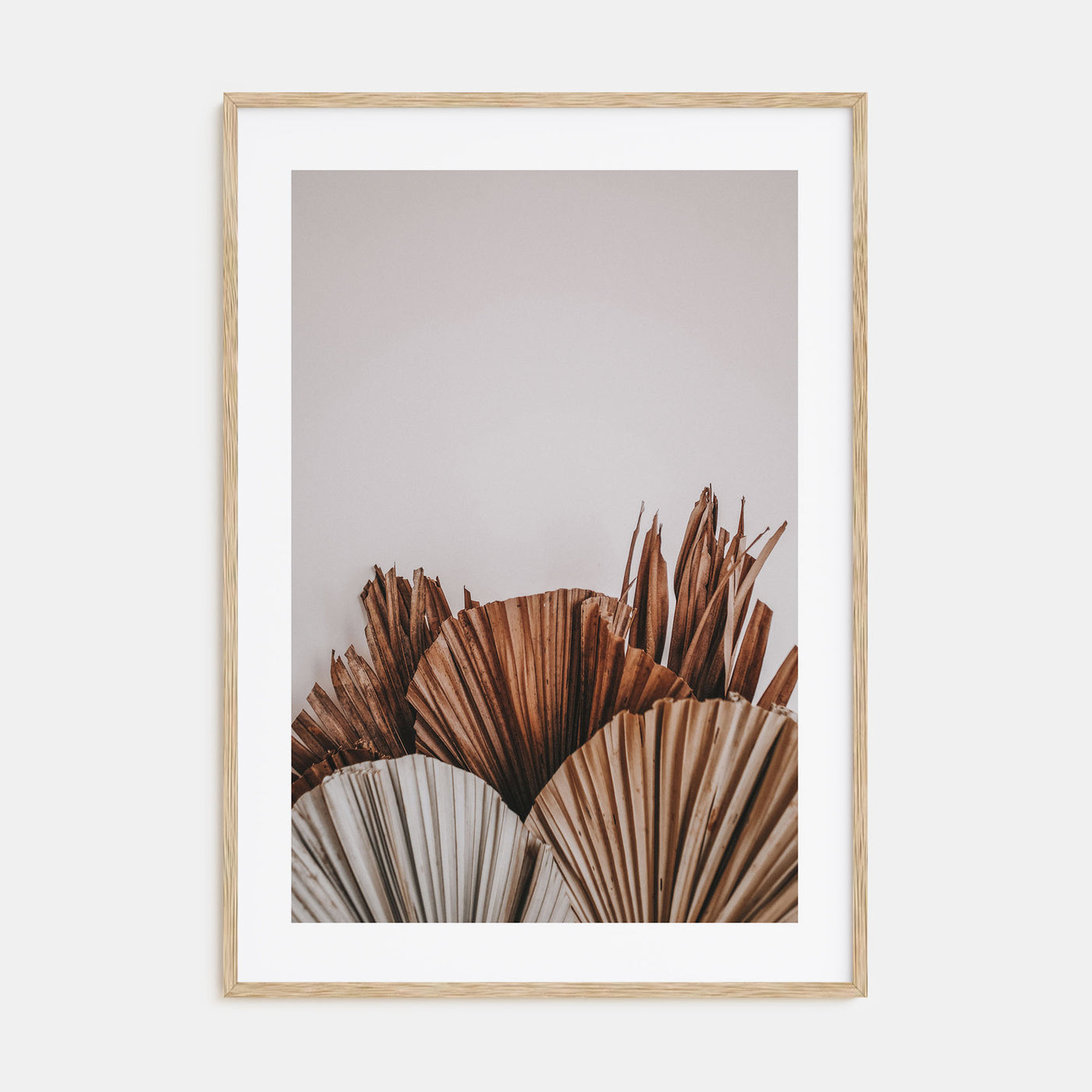 Dry Tropical Palm Leaf Photo Color No 2 Poster