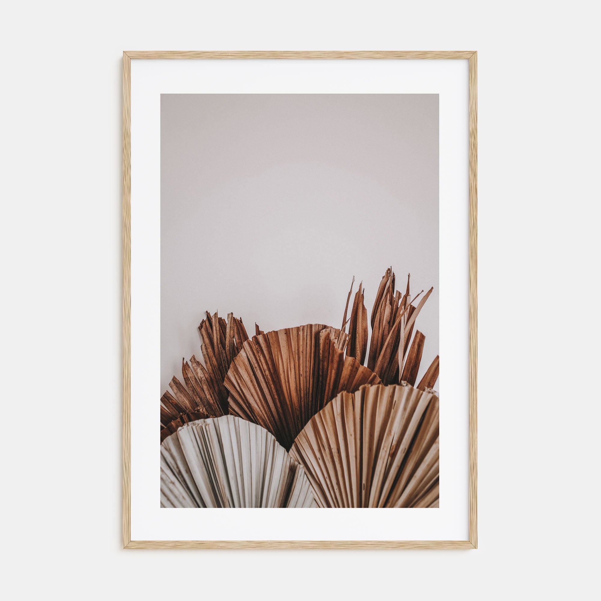 Dry Tropical Palm Leaf Photo Color No 2 Poster