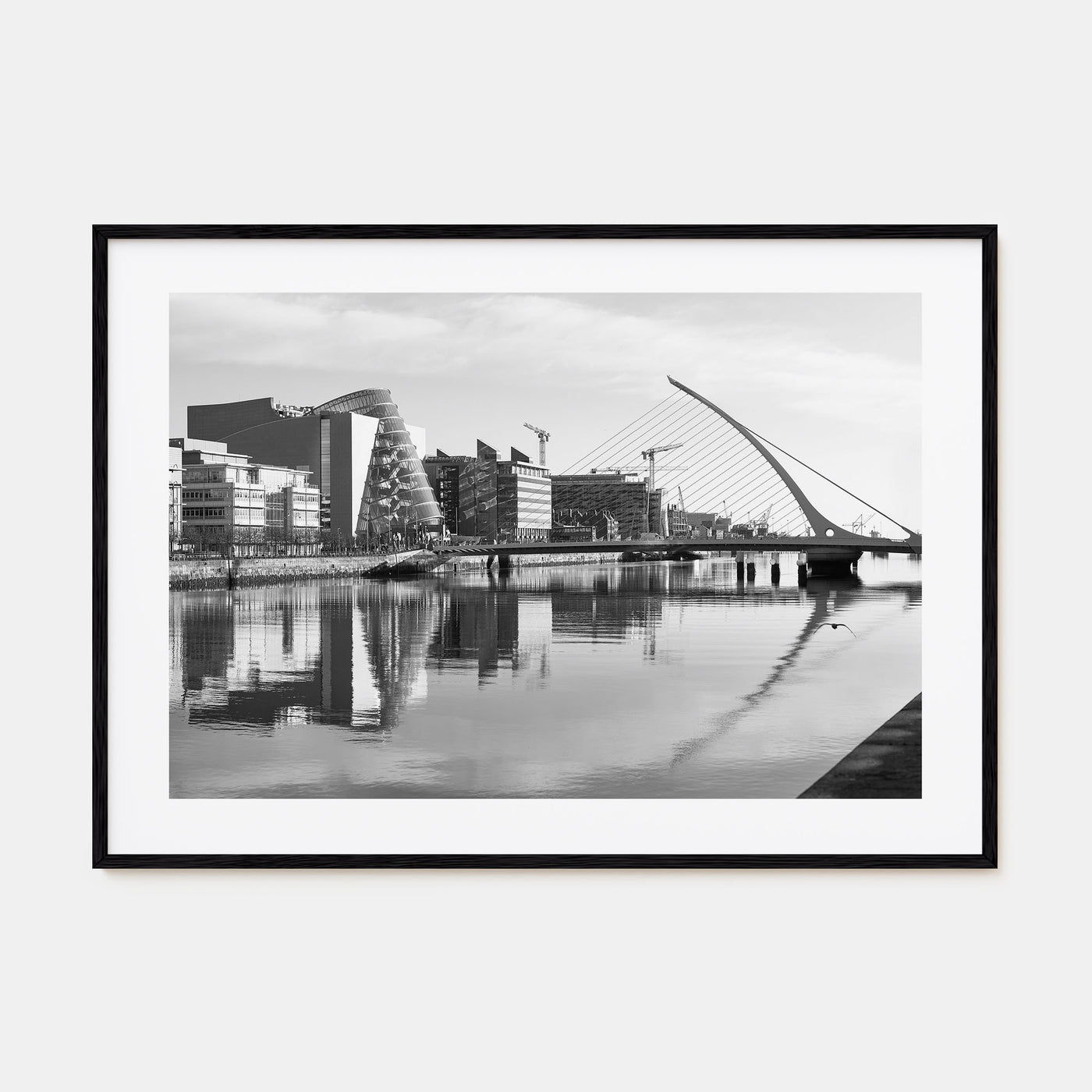 Dublin Landscape B&W Poster