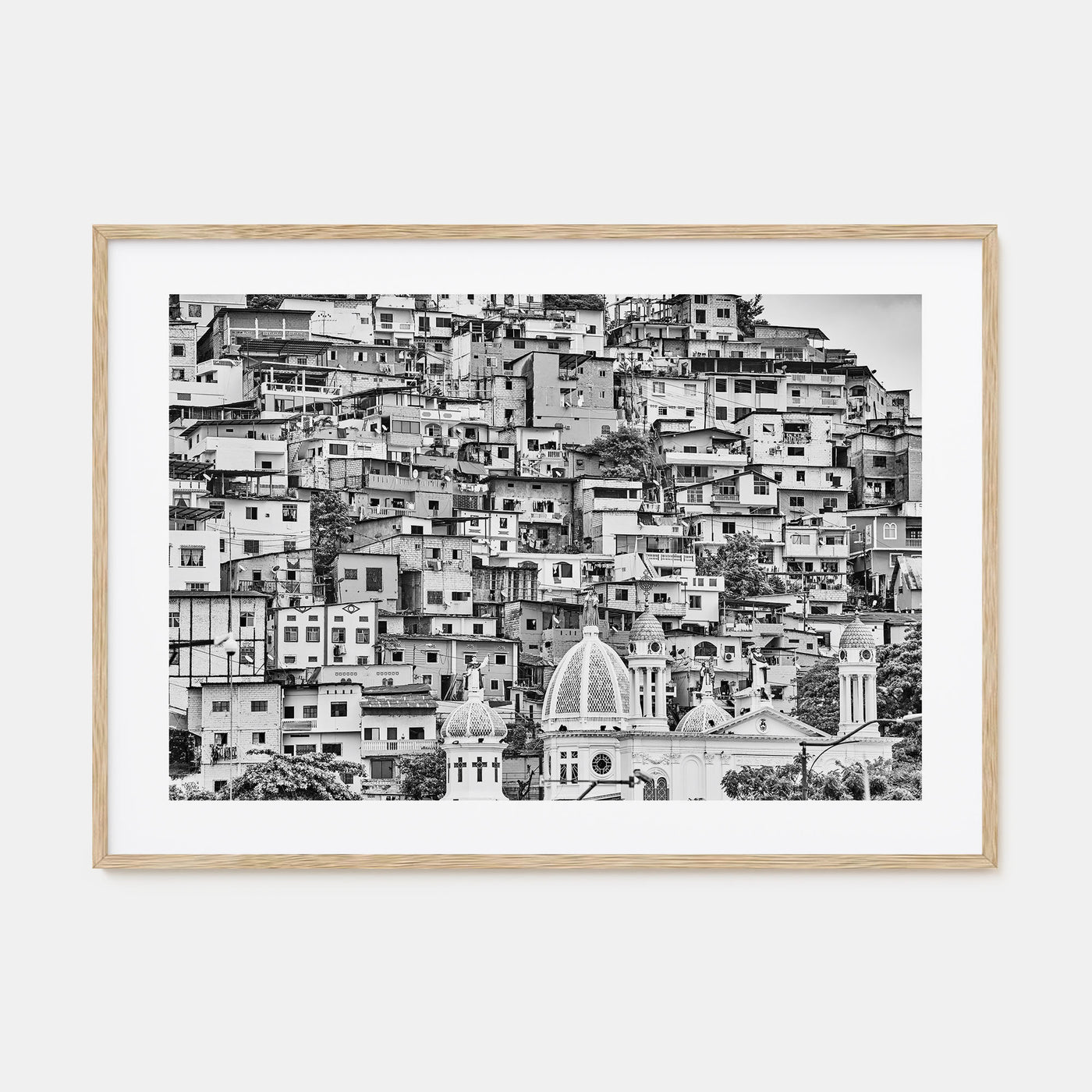 Ecuador Landscape B&W Poster